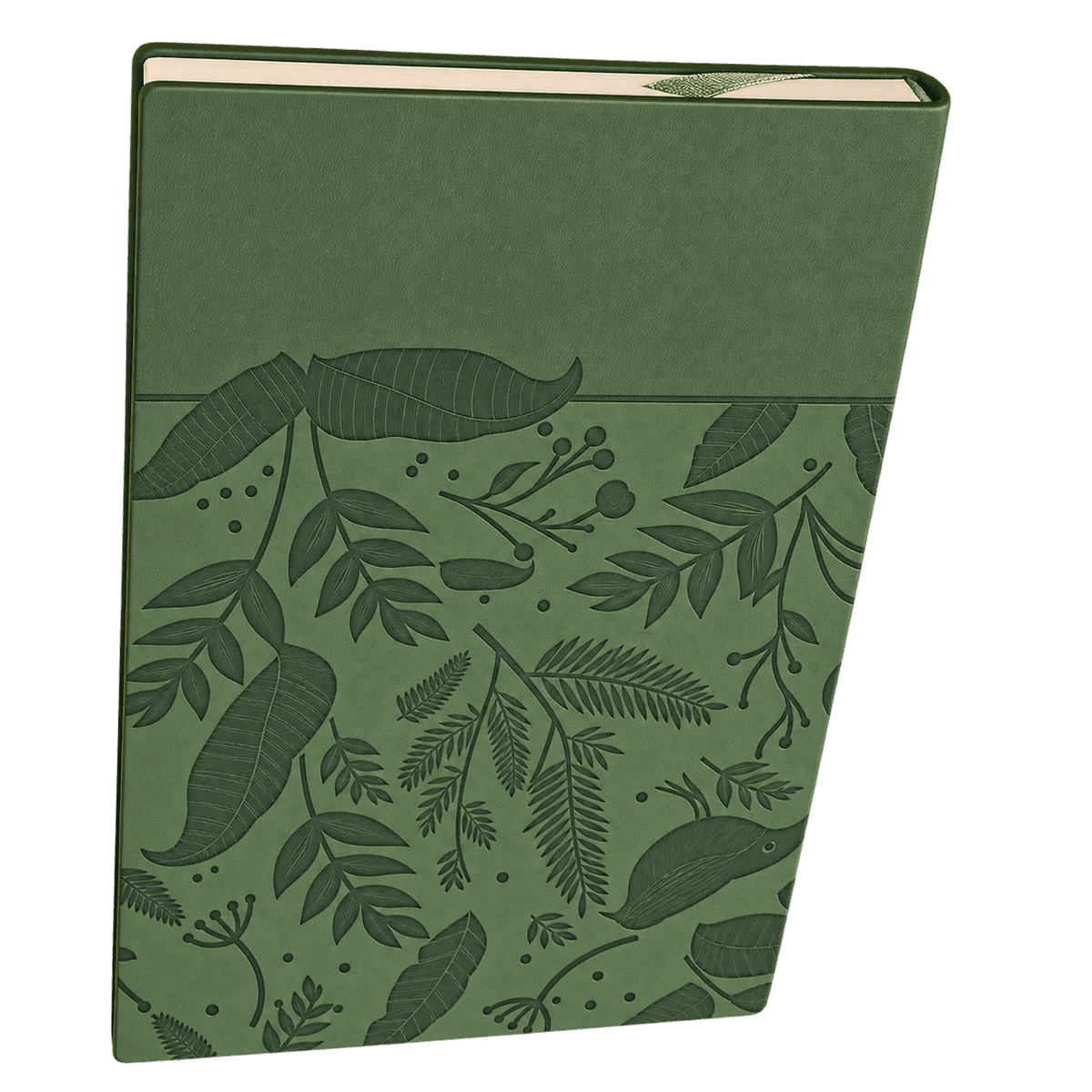 Sage Green Sustainable Gift Set image 3